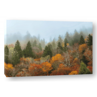D. Burt - Autumn Mountain