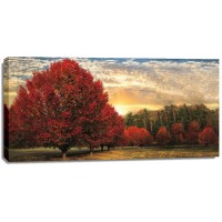 Celebrate Life Gallery - Crimson Trees