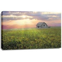 Celebrate Life Gallery  - Morning Has Broken
