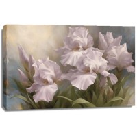 Igor Levashov - White Iris Elegance II 