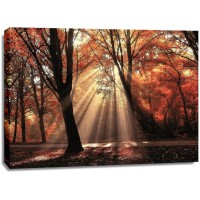 Lars Van de Goor - Dressed To Shine