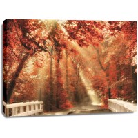 Lars Van de Goor - Red for Rest