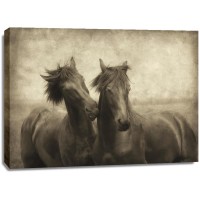 Lars Van de Goor - Horses Don't Whisper