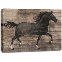 Conrad Knutsen - Barnwood Horse
