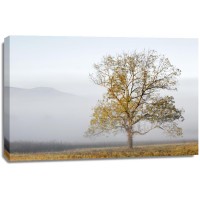 Danita Delimont - Cades Cove