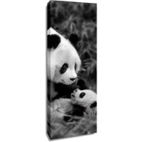 Danita Delimont - Panda Play