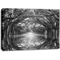 Danita Delimont - Oak Alley Reflection