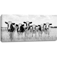 Lars Van de Goor - Cows - Grazing Pasture