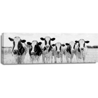 Lars Van de Goor - Cows - Grazing Pasture