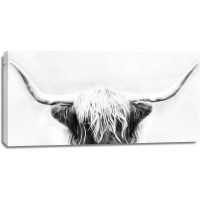 Danita Delimont - Highland Cow - Longhorn