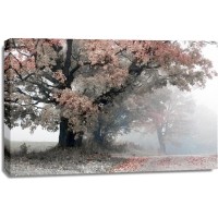 Lars Van de Goor - Magical Middle Earth