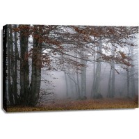 Dora Artemiadi - Autumn Paintings