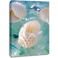 Alan Blaustein - Crystal Cove - 24
