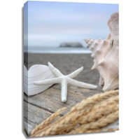 Alan Blaustein - Crescent Beach Shells 12