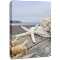 Alan Blaustein - Crescent Beach Shells 13