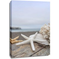 Alan Blaustein - Crescent Beach Shells 14