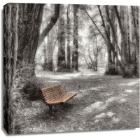 Alan Blaustein - Old Mill Park