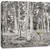 Alan Blaustein - Sunflower Bicycle Ride