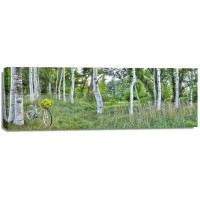 Alan Blaustein - Sunflower Bike Ride No.4