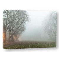 Kent Burkhardsmeier - Intriguing Beginnings