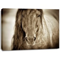 Lisa Dearing - Mustang Sally