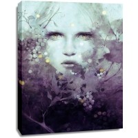 Anna Dittman - Vine