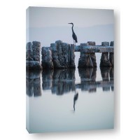 GS Photo - Heron Hunting