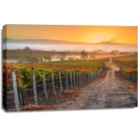 John Gavrilis - Vineyard Sunrise