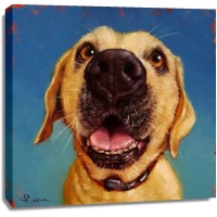 Lucia Heffernan - Follow Your Nose 2