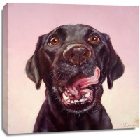 Lucia Heffernan - Follow Your Nose 7