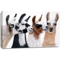 Jan Henderson - Peruvian Visitors