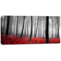 PhotoINC Studio - Autumn Woods