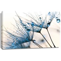 PhotoINC Studio - Mystic Blue