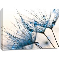 PhotoINC Studio - Mystic Blue