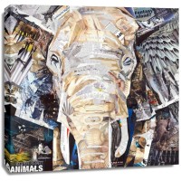 James Grey - Elephants Gaze