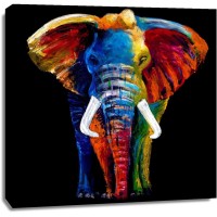 Clara Summer - Great Elephant
