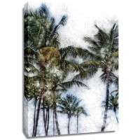 Golie Miamee - Dorado Palms 2