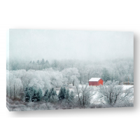 Brooke T. Ryan - Red Barn