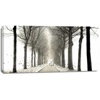 Lars Van de Goor - Birds