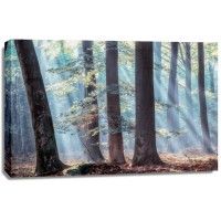 Lars Van de Goor - Spellbound