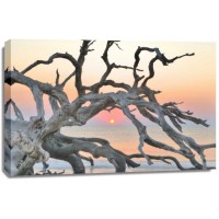 Steve Vaughn - Sunrise Sentinel