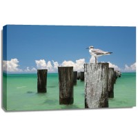 Verne Varona - Welcome to Naples, Florida