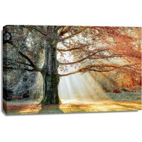 Lars Van de Goor - Basking In The Sun