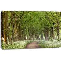 Lars Van de Goor - Cow Parsley Curve
