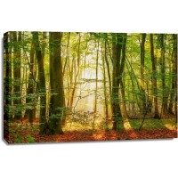 Lars Van de Goor - Power Beam