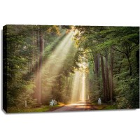 Lars Van de Goor - This Beam is Booming
