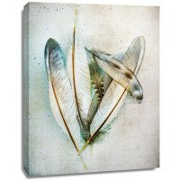 Kathy Wolfe - Hen Feathers