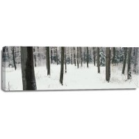Romeo Delogu - Winter - Frozen Trees