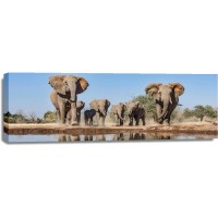 Elephant - On Our Way