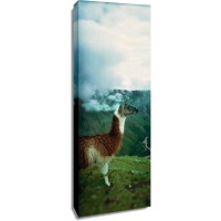 Llama - Hanging Around the Machu Pichu